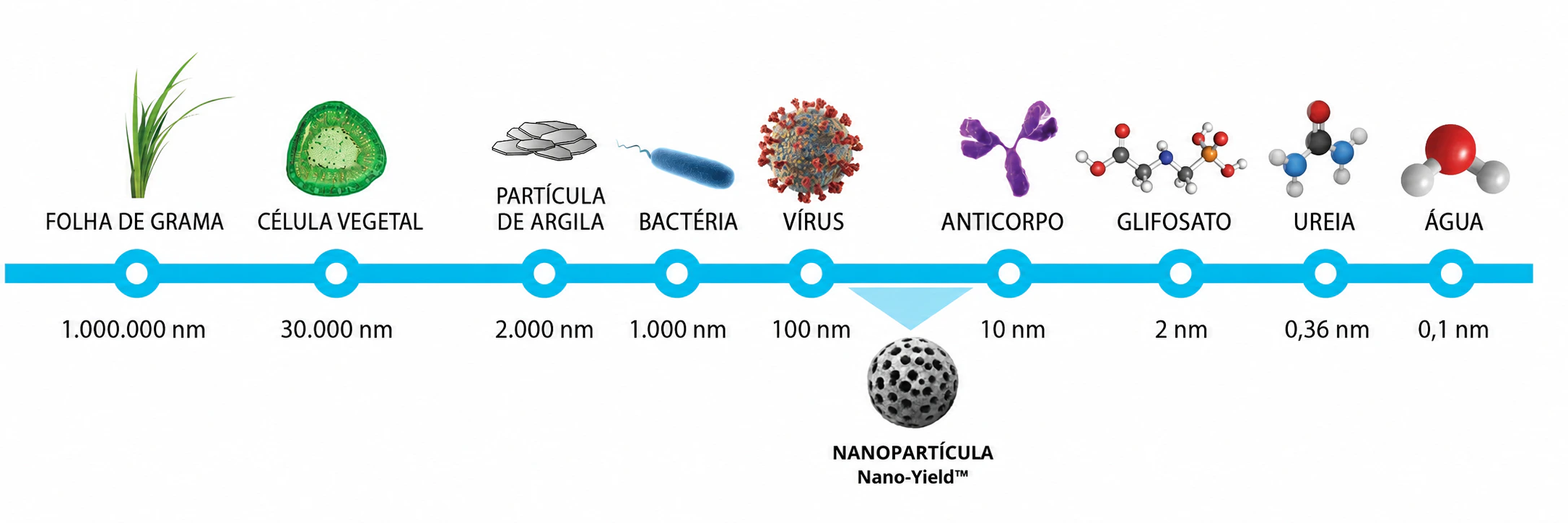 Escala comparativa em português do tamanho da nanopartícula Nano-Yield